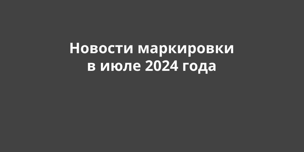     2024 